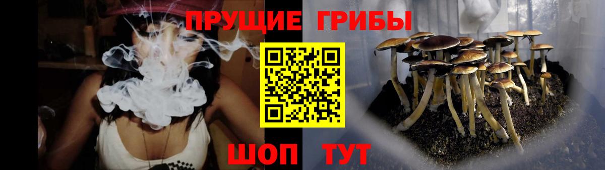 Псилоцибиновые грибы GOLDEN TEACHER  Вход с VPN  Волжский 